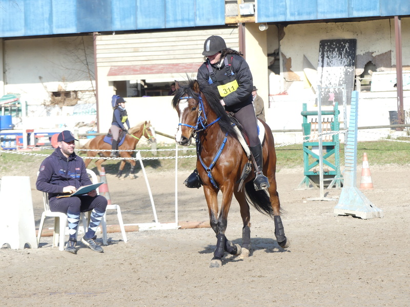 conseils réglages de base FZ300 pour equitation P1000411