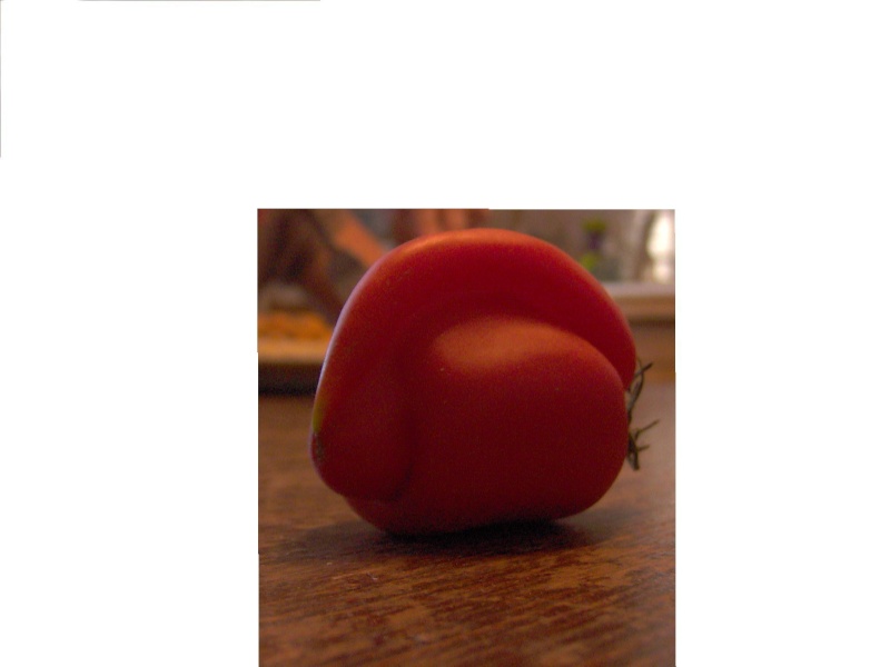 Tomate tchernobyllienne Copie_12