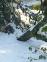 La chute de neige catastrophique du 14 novembre Catast12
