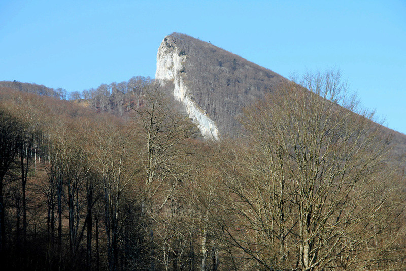 Le nez de Napoléon Img_7912