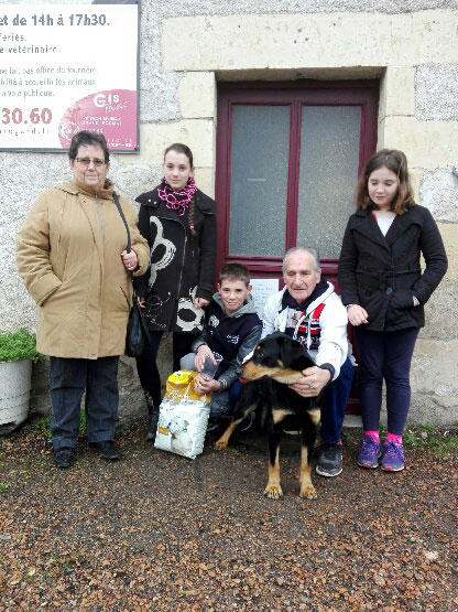 PACO (Beauceron croisé Labrador) Adopt_18