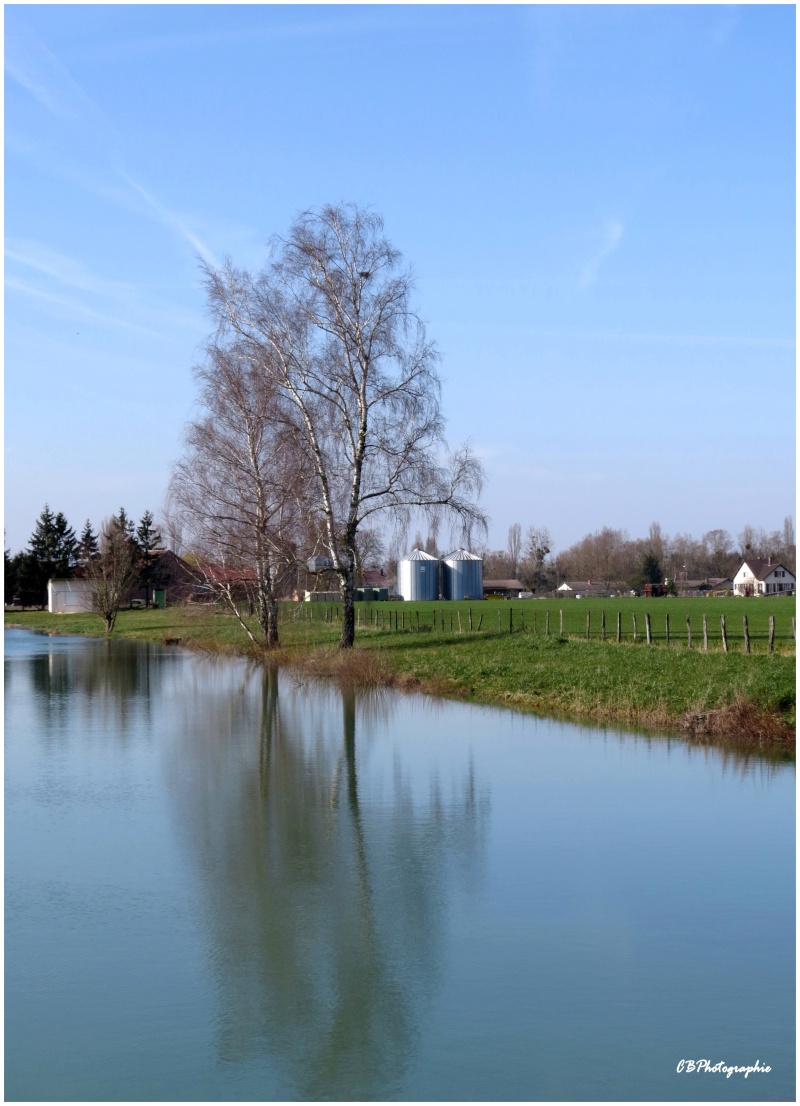 Etang de Vaudes + ajout et modif Vaudes10