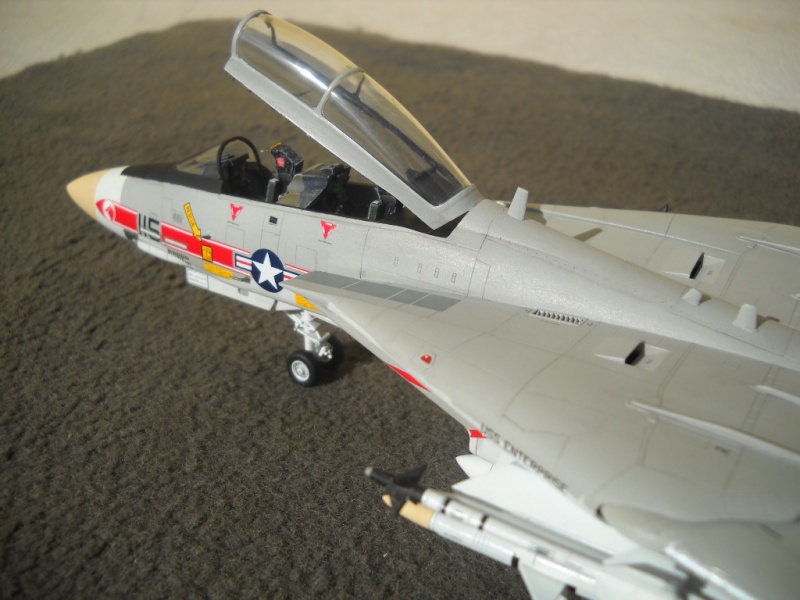 [Hobby Boss] 1/72 - Grumman F-14A Tomcat - "VF-1 Wolfpack"  Dscn3515