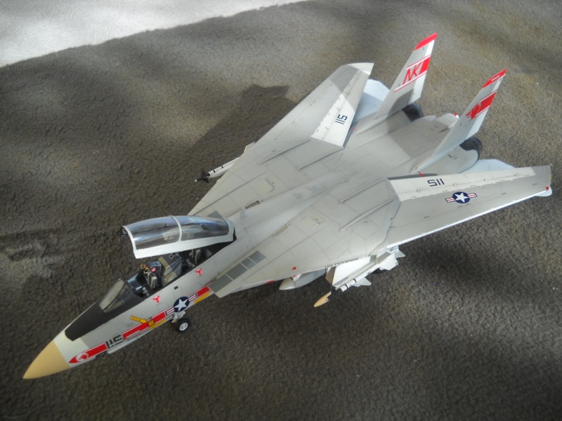 [Hobby Boss] 1/72 - Grumman F-14A Tomcat - "VF-1 Wolfpack"  Dscn3521