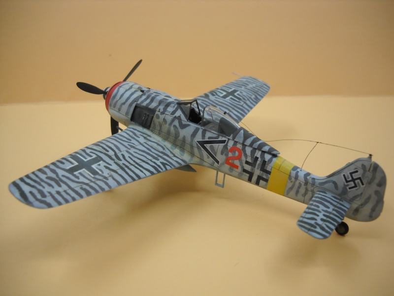 Focke-Wulf FW-190 F-8, Airfix, 1/72. Dscn3911