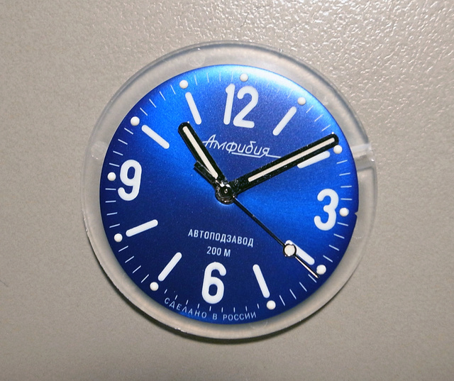 Nouvelle Amphibia 150 R0023338