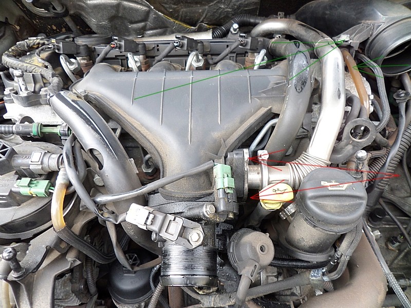 {2.0 HDI 136] Démontage voix respiratoires du turbo à la culasse + vanne EGR