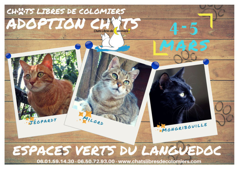 Week-end adoptions aux Espaces Verts du Languedoc le 4 et 5 mars Ja_evl10