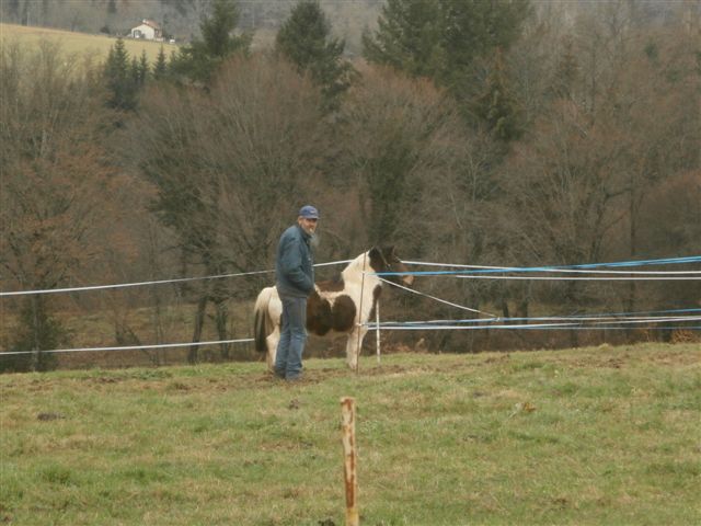 CANNELLE - ONC poney née en 2009 - adoptée en décembre 2013 par Catie Pc300014