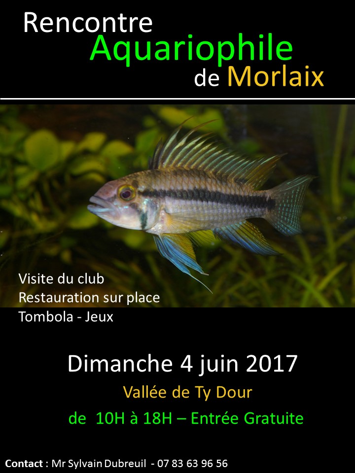 1ere RENCONTRE AQUARIOPHILE MORLAIX LE 04/06/2017 Prysen10