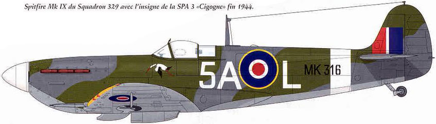 329th Squadron RAF 21_910