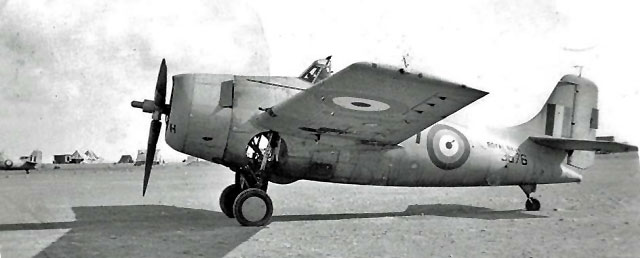 805 Squadron RAN Faawil10