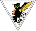 316th Polish Fighter Squadron 316th_11