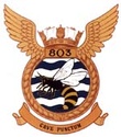 803th Naval Air Squadron 803_na10