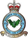 9th Squadron RAF 9_squa10