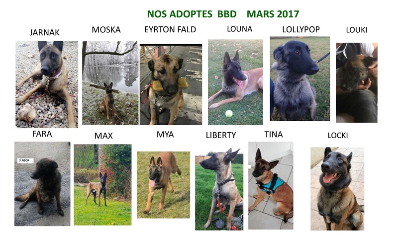 Nos adoptés depuis l'automne 2015 Adopti12