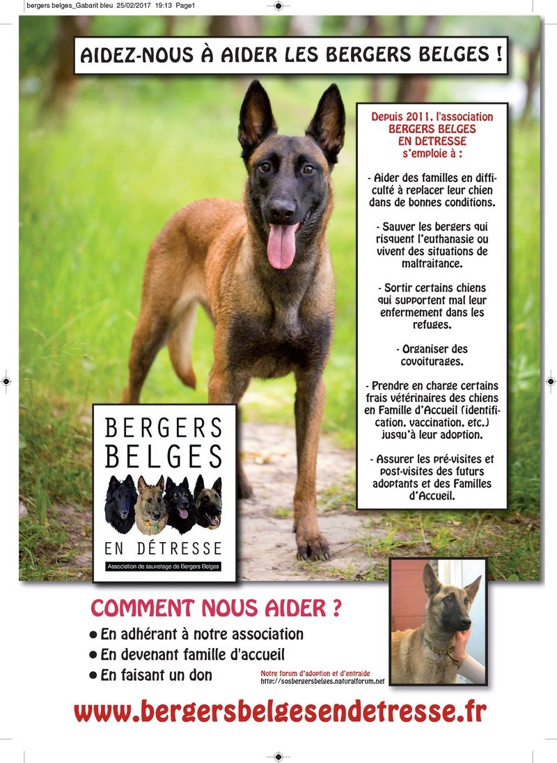 ON PARLE DE NOUS : ARTICLES DE JOURNAL, INTERVIEW RADIO.... - Page 6 Berger12