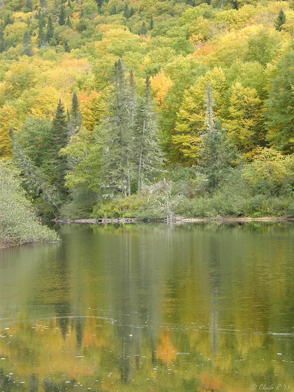 L'automne dans la vallée de la Jacques-Cartier. Vallae16