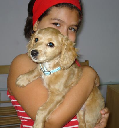 Thays, ahora Coco ADOPTADO!!! Coco_010