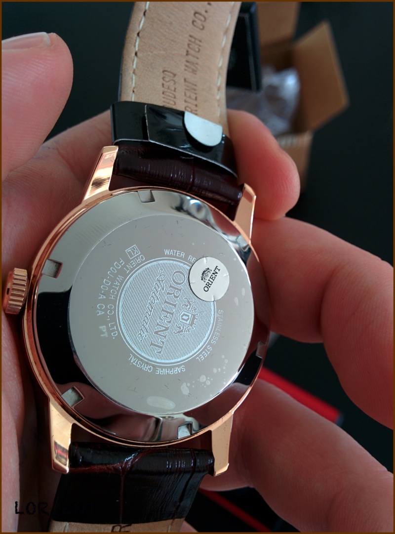 Orient FFD0J001T0 - Curator Review (Revue à l'ancienne) Img_2024