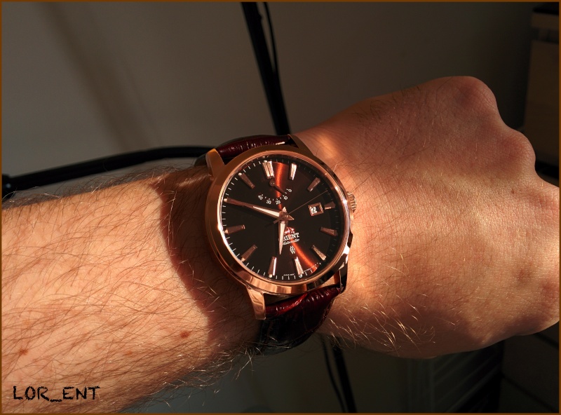Orient FFD0J001T0 - Curator Review (Revue à l'ancienne) Img_2032