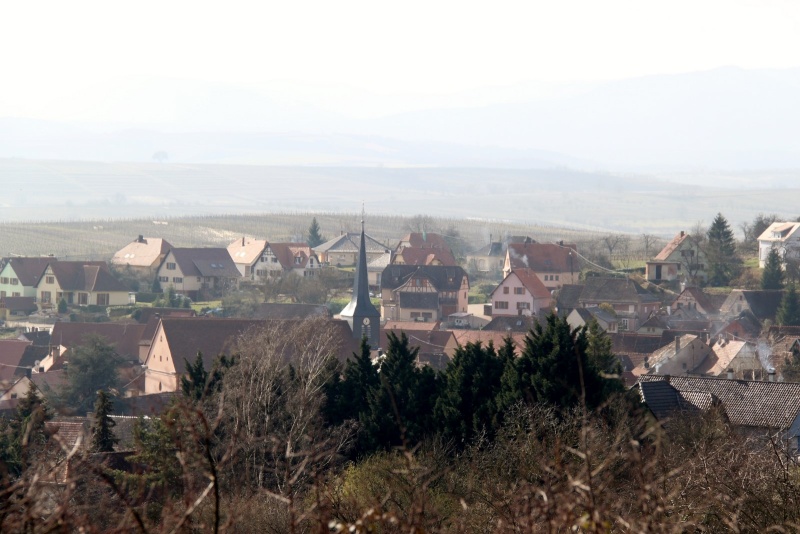 Sur les hauteurs de Wangen en mars 2014 Img_9826