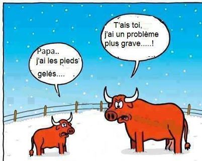 Humour en images - Page 4 Betise13