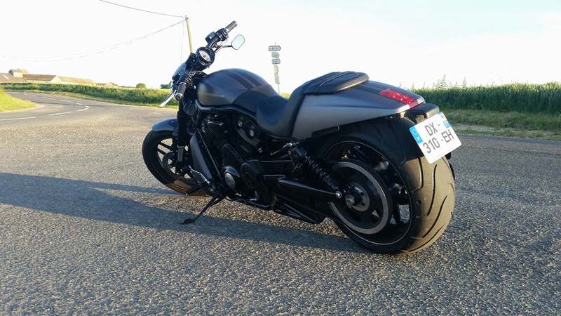 Mon night rod special 19059510