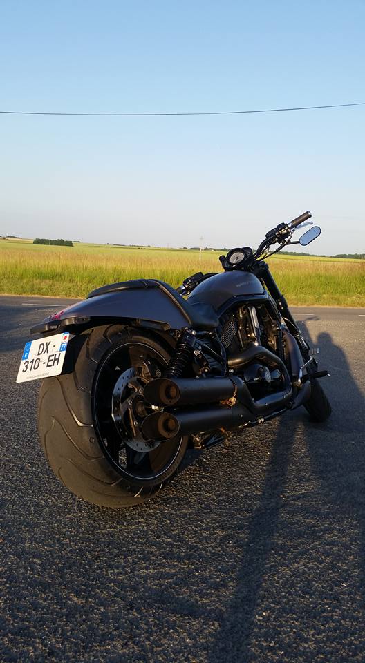Mon night rod special 19224810