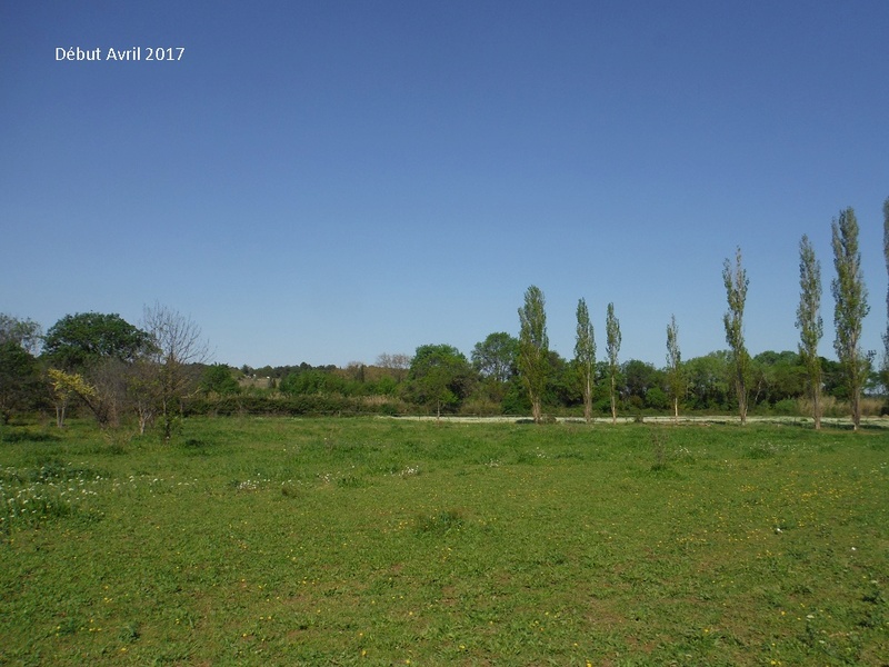 JdB de 4 hectares de pâtures dans le SUD : petit bilan - Page 4 9009pa10