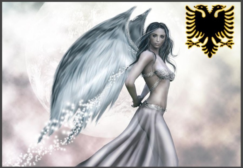 angel wallpapers... Halo311
