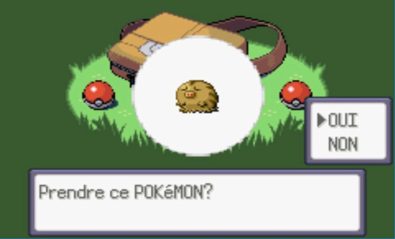 [Nuzlocke] Randomiser Emeraude, bonne idée ? 210