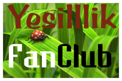 Yeillik Fan Club Yesill10