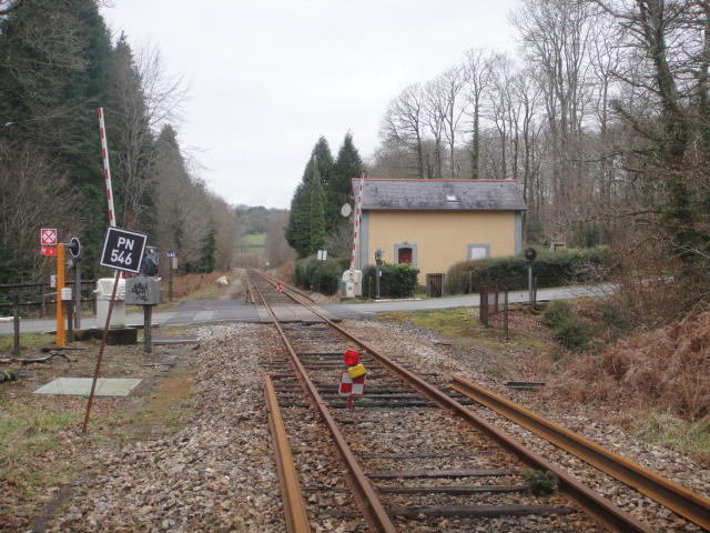 En forêt du Cranou Cranou15