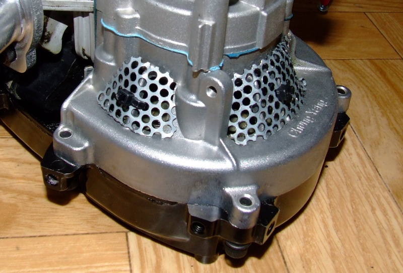 grilles moteur Dscf2114