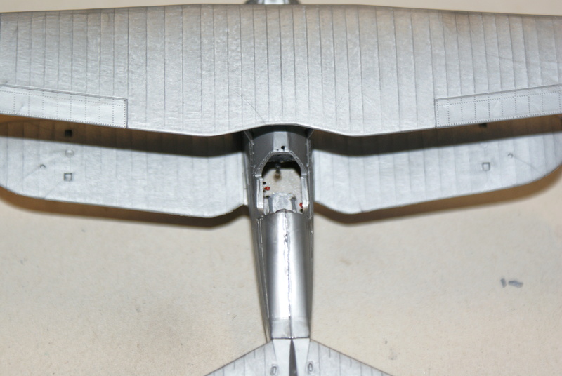  Curtiss F11C-2 Goshawk FINI Dsc03522