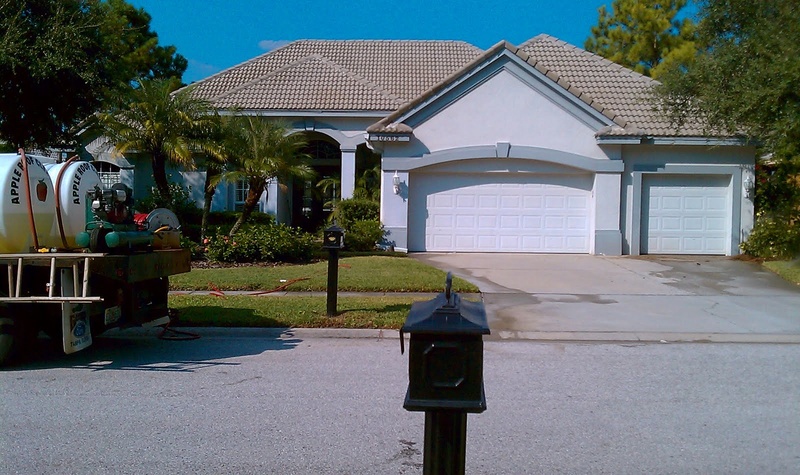 Tile Roof Cleaning In Tampa Florida Area Imag0310