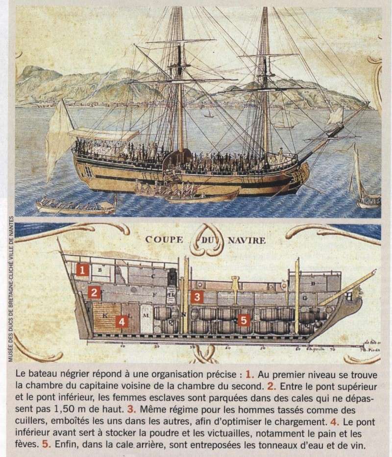 iles - Les îles à sucre : la traite et l’esclavage au XVIIIe siècle, Toussaint Louverture 0231210