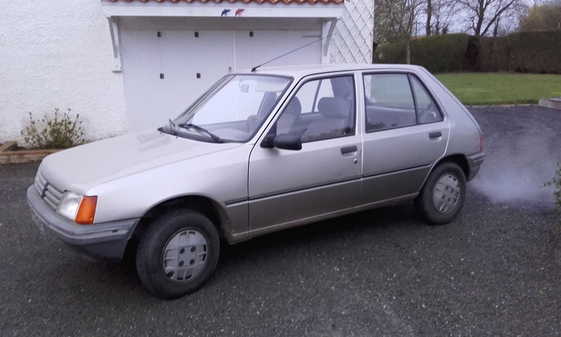 Mes Youngtimers (Peugeot 205) 20170314