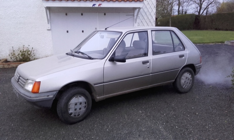 Mes Youngtimers (Peugeot 205)  20170314