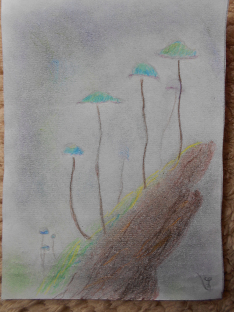 [Crayons aquarellables]Trucs censés être des champignons Dscn0618