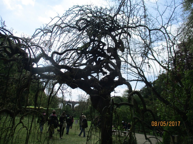 Notre visite au Parc oriental de Maulévrier (49) Parc_246