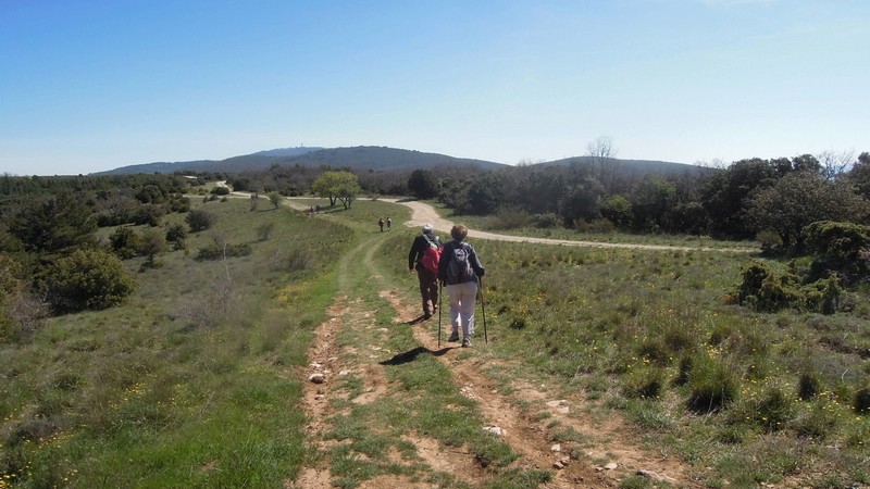 Photos de la randonnée plus calme de Jean-Marie à Buoux le 13 avril 2017 1810