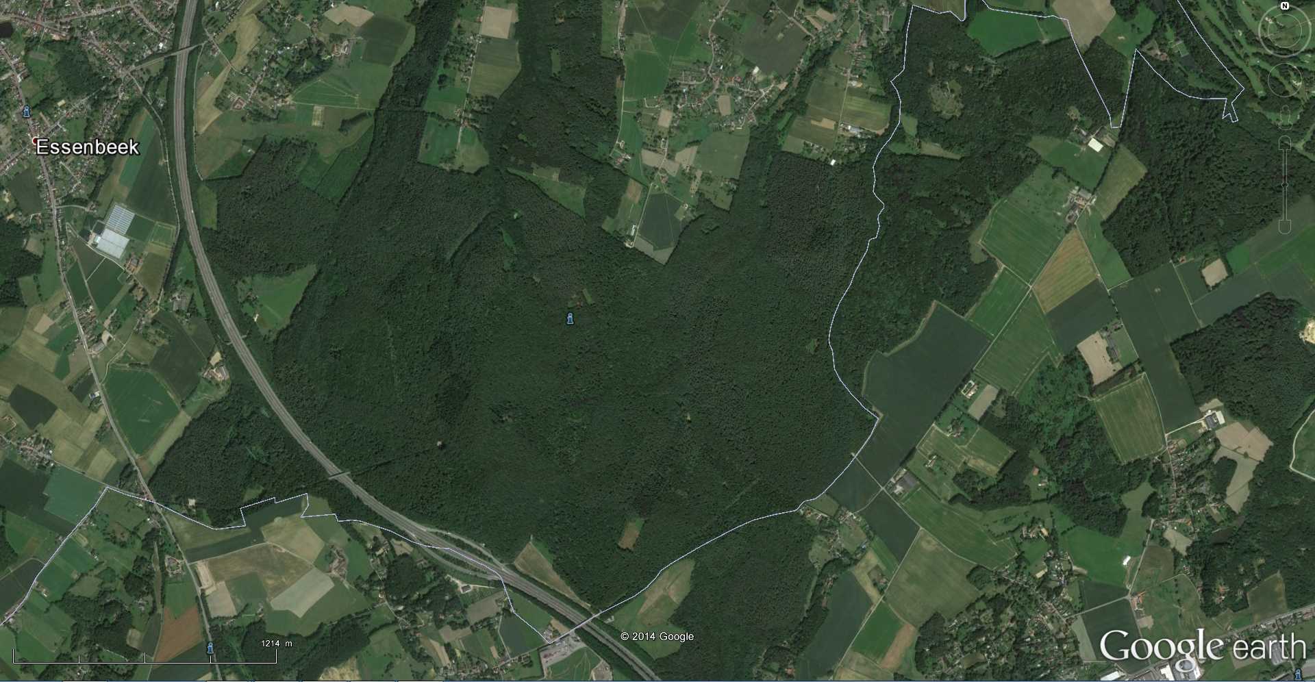 Forêt bleue - Bois de Hal - Hal - Belgique 2014-268