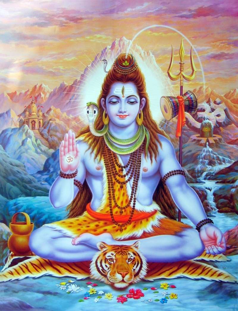 Joyeuses fêtes de Holi Shiva10