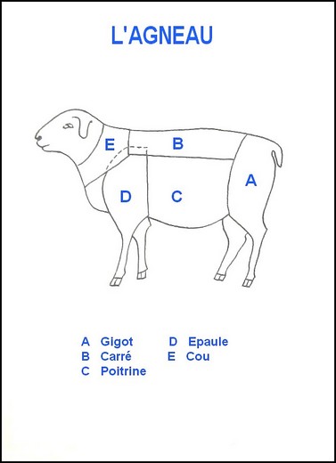 La découpe de l'agneau Mouton10