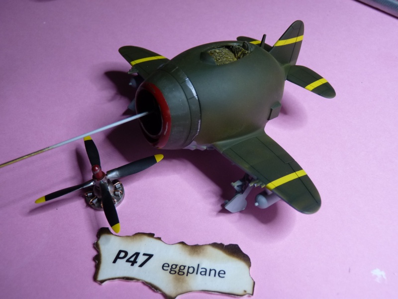P47 Eggplane P1030715