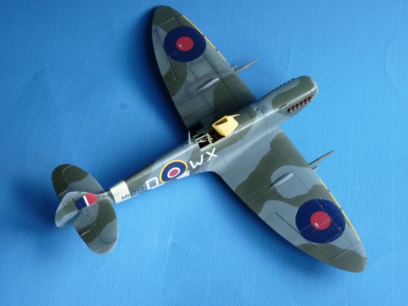 AYRTSEN   Spitfire MK IXc   FINI - Page 3 P1030745