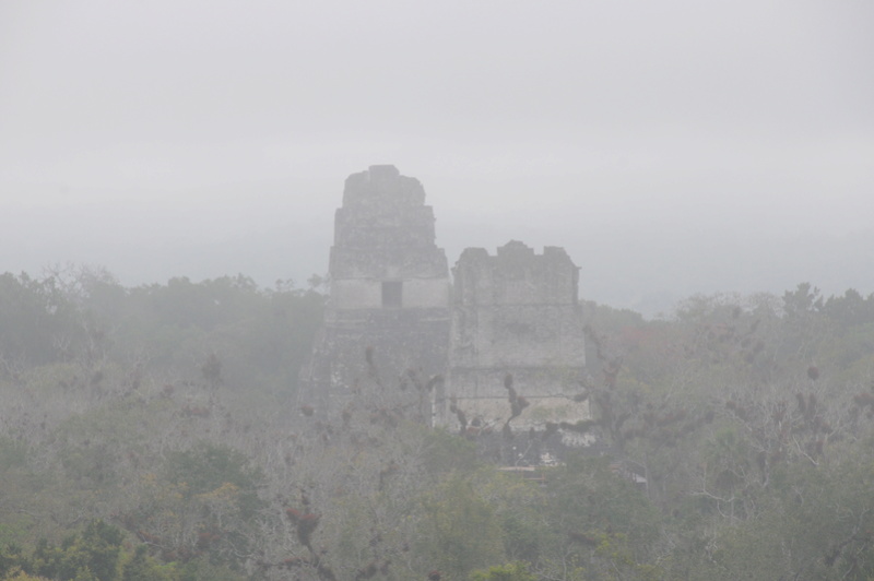Les sites archéologiques de la péninsule du Yucatan Dsc_9416