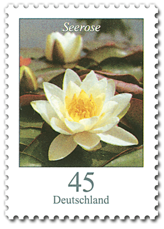 Blumengruß aus Deutschland - Dauerserie Blumen - Seite 2 00906010
